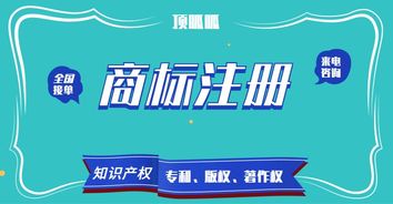 頂峰知產(chǎn) 以高成功率賦能企業(yè)商標(biāo)與知識產(chǎn)權(quán)保護